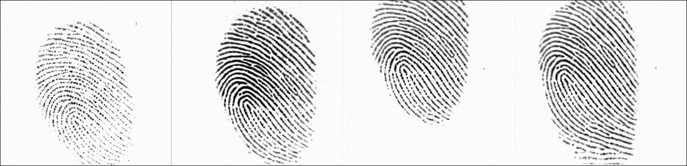Fingerprint identification, how is it done?