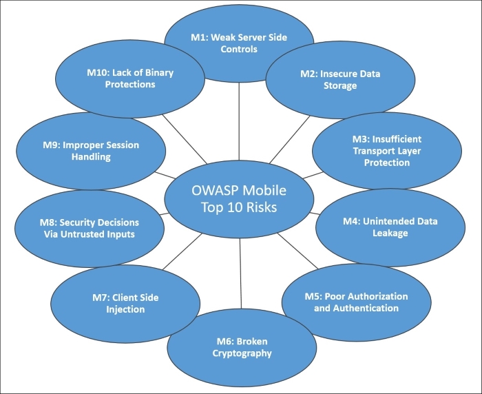 OWASP mobile top 10 risks