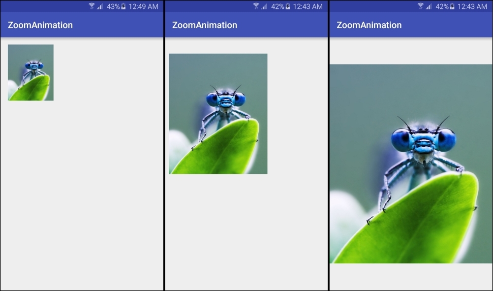 Creating a Zoom Animation with a Custom Transition
