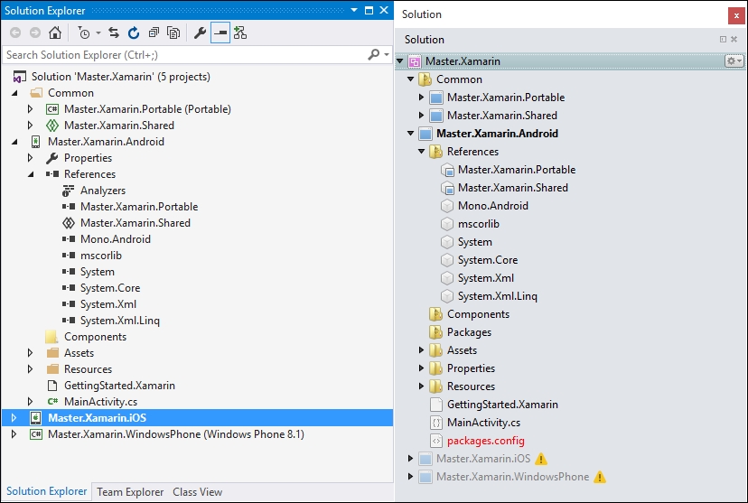 A typical Xamarin solution structure