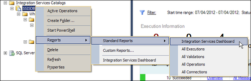 Package execution reports