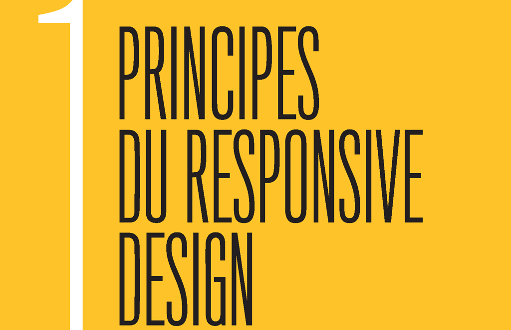 Chapter 1: Principes Du Responsive Design