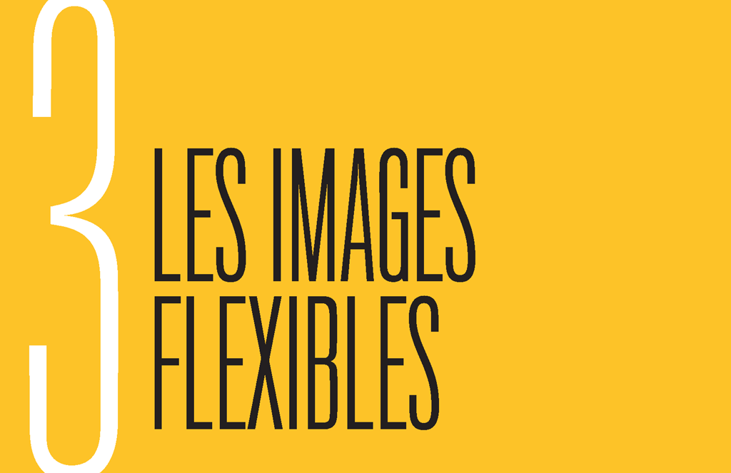 Chapter 3: Les Images Flexibles