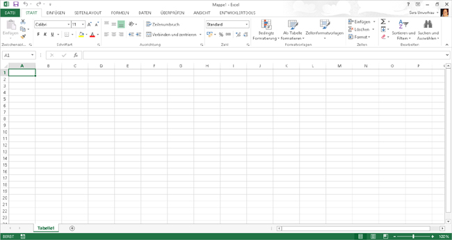 Der neue Look von Excel 2013