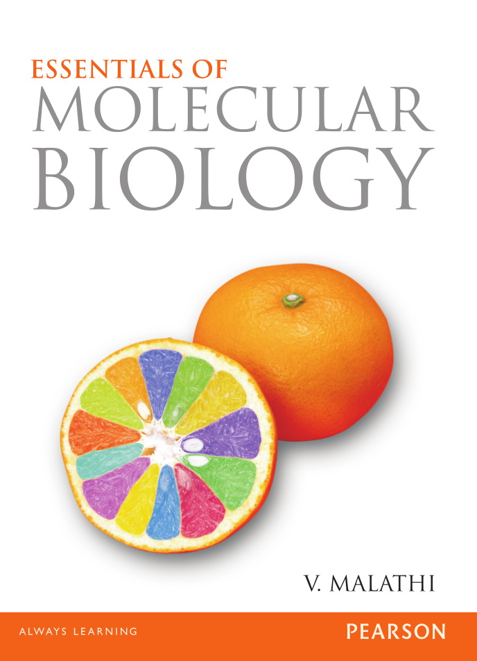 Cover image for Essentials of Molecular Biology 
